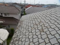 変色　退色　コケ