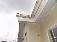 日当たり　悪い　雨樋