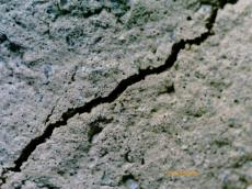 マイクロスコープ