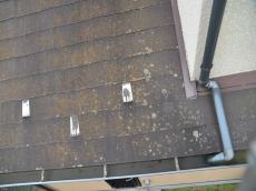 色あせ　屋根　藻