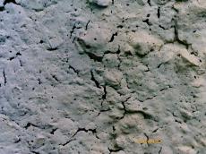 スコープ　専用　機材