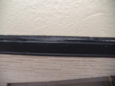 現場調査　プロ