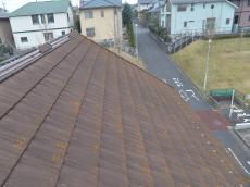 色あせ　コケ　屋根