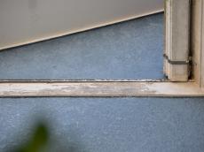 痛み　胴差　旧塗膜