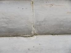 紫外線　雨風　木