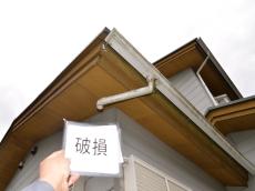m20170121iga000005.jpg