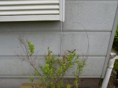 m20170121iga000008.jpg
