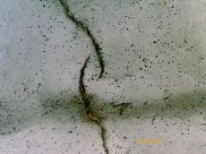 m20170210yma000011.jpg