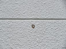 m20170220iha000003.jpg