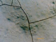 m20170220tma000022.jpg