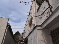 m20170310hka000004.jpg