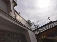 m20170310hka000005.jpg