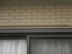 m20170310iia000009.jpg