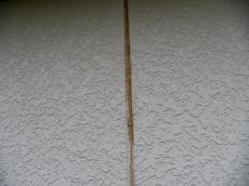 m20170310kya000007.jpg