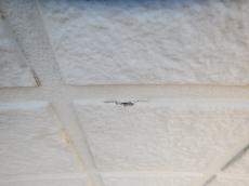 m20170505mda000004.jpg