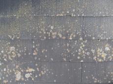 m20170811oka000005.jpg