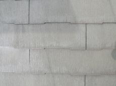 m20171228tma000001.jpg
