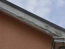 m20180124tua000000.jpg