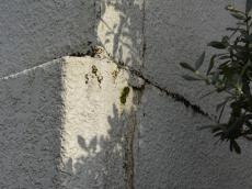m20180124tua000012.jpg