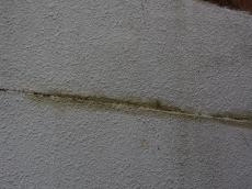 m20180124tua000013.jpg