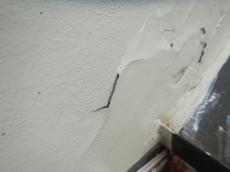 m20180209fwa000046.jpg