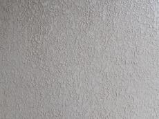 m20180303asa000000.jpg