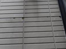 m20180303tga000014.jpg