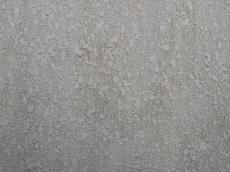 m20180430iia000005.jpg
