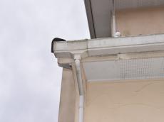 m20180430sbt000015.jpg