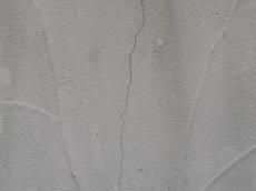 m20180430sbt000034.jpg