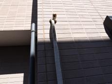 m20180530ina000015.jpg