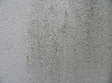 m20181010aka000000.jpg