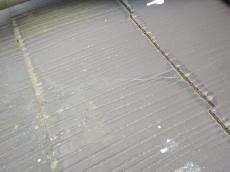 m20181203tma000029.jpg