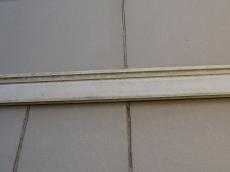 m20190114ega000008.jpg
