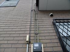 m20190114fia000021.jpg