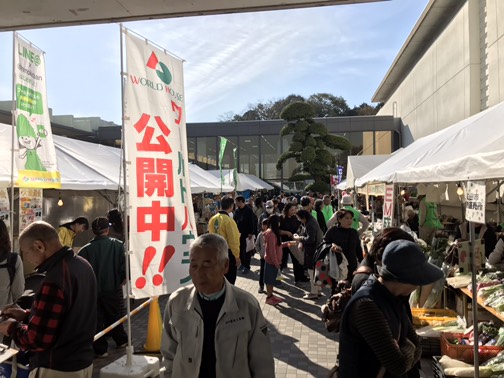 2018-11-17 19.00.34.jpg