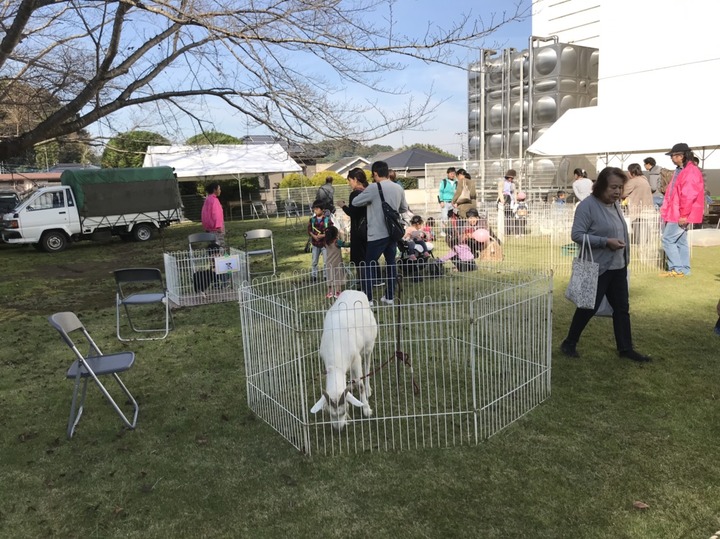 2018-11-17 19.00.39.jpg