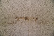 20190716 Ysama　miae03.jpg