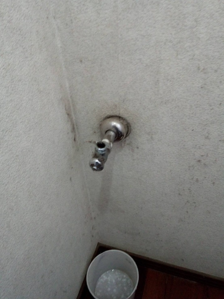 S__24068107.jpg