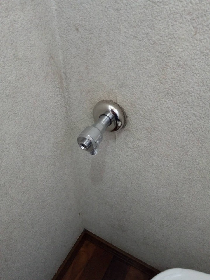 S__24068111.jpg