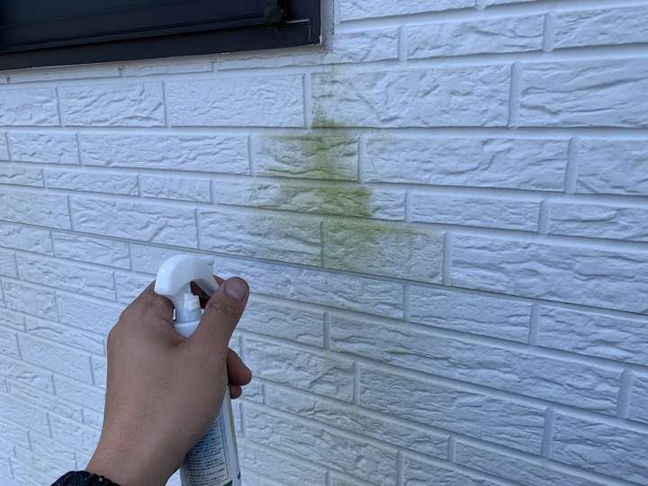 C0478F5B-993F-4BDE-AF32-41BC9C581E23.jpeg