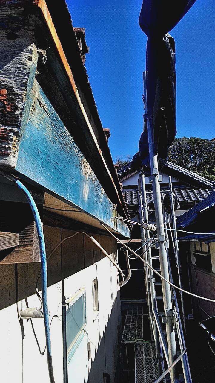S__12403036.jpg