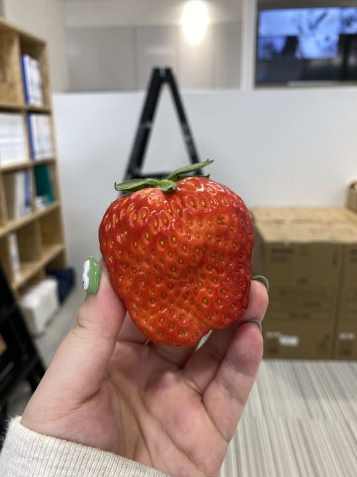 S__230916106.jpg