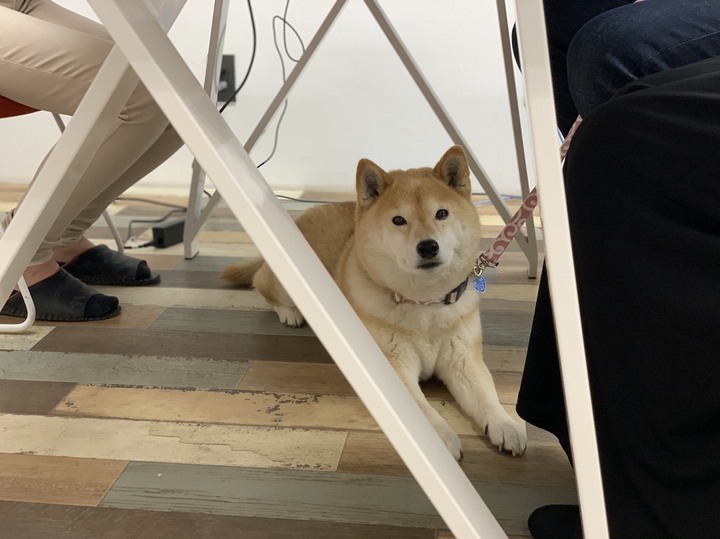 S__35184814.jpg