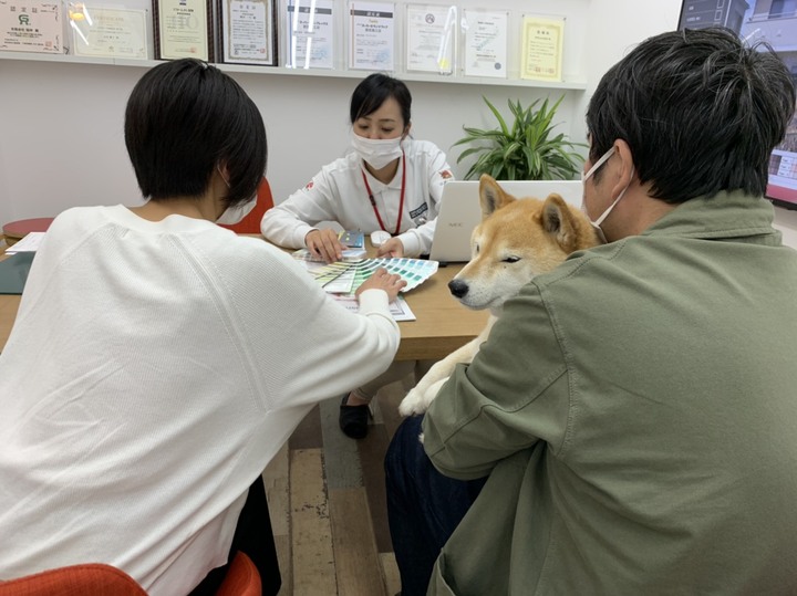 S__35184817.jpg