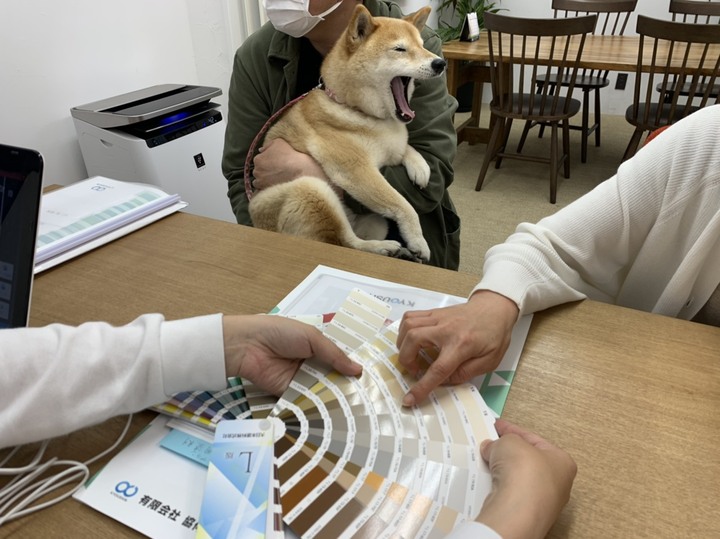 S__35184818.jpg