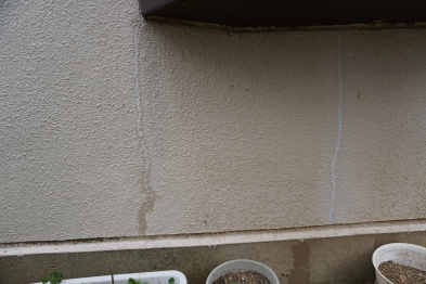 20210629_Ysama_mae05.jpg
