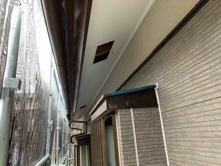 S__2441505.jpg