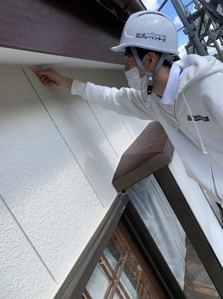 S__84631572.jpg