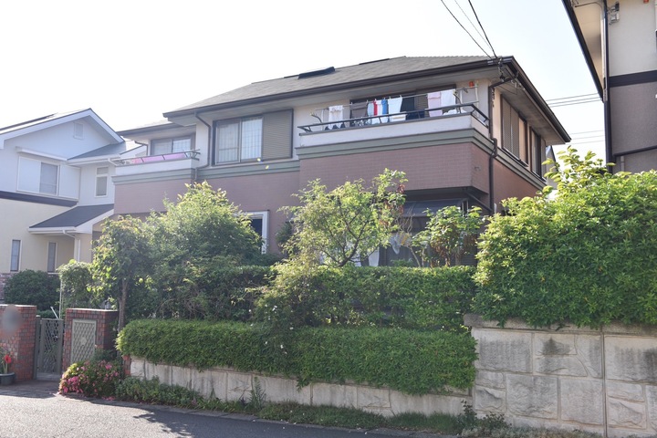 S__256901124.jpg